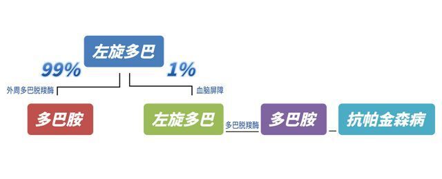 左旋门冬酰胺酶图片