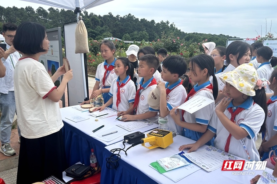 来自枫树山南屏锦源小学和枫树山明宸小学近400名老师同学参与其中