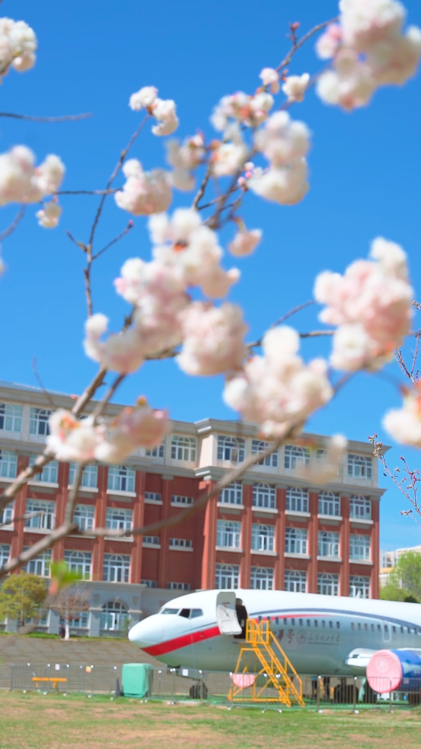 阅"呈"记 | 花开呈贡 春日校园——昆明理工大学