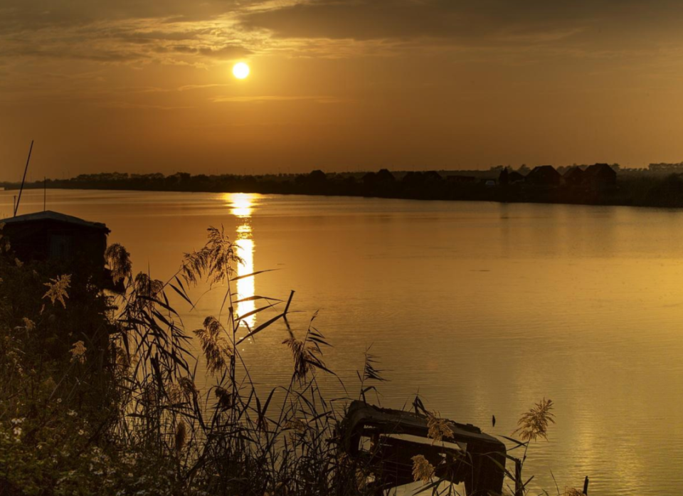 岛屿,广州独一份的疏离感