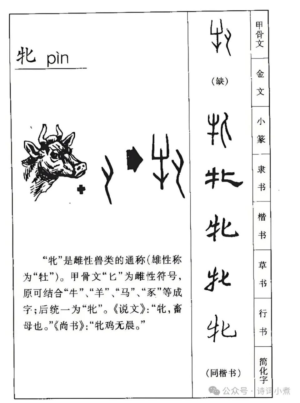 "牝"不读chì,也不读mǔ,该怎么读,"牝鸡司晨"什么意思?