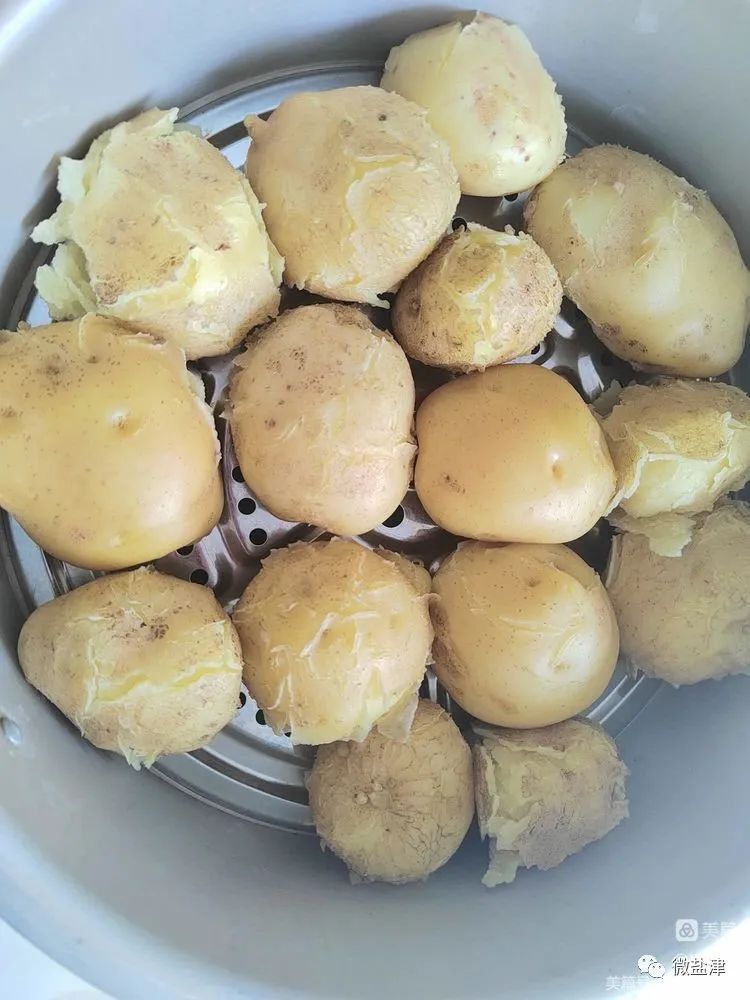 这种"开花洋芋"板扎得很,就种在盐津