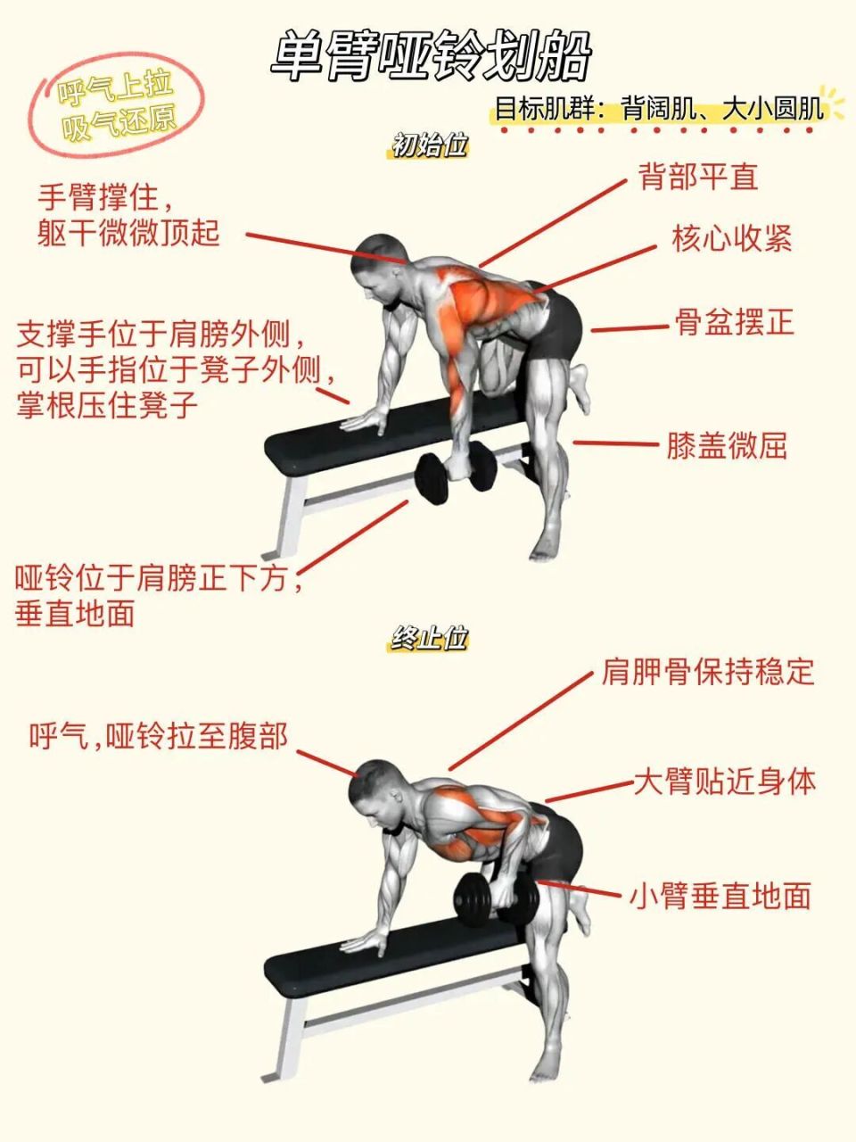 分享私教背部训练动作合集 ️背部线条感_腾讯新闻