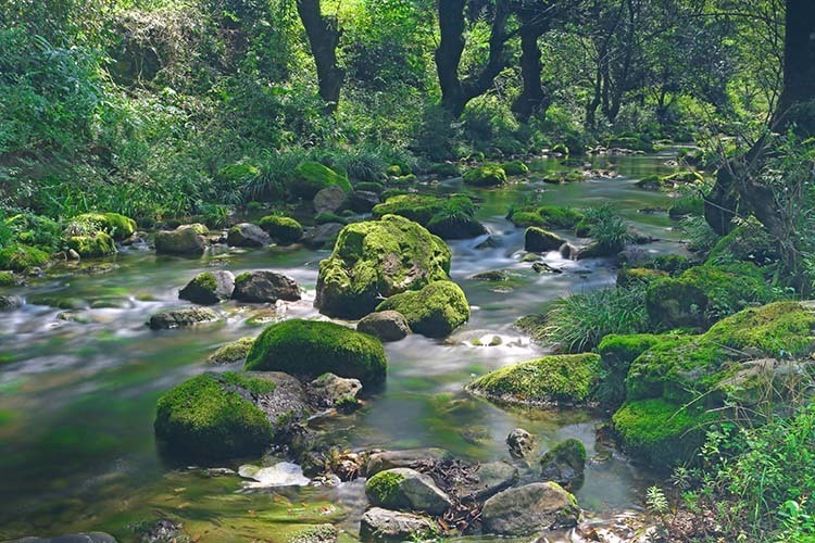 广元利州：月坝村麻柳沟“新生记”_腾讯新闻