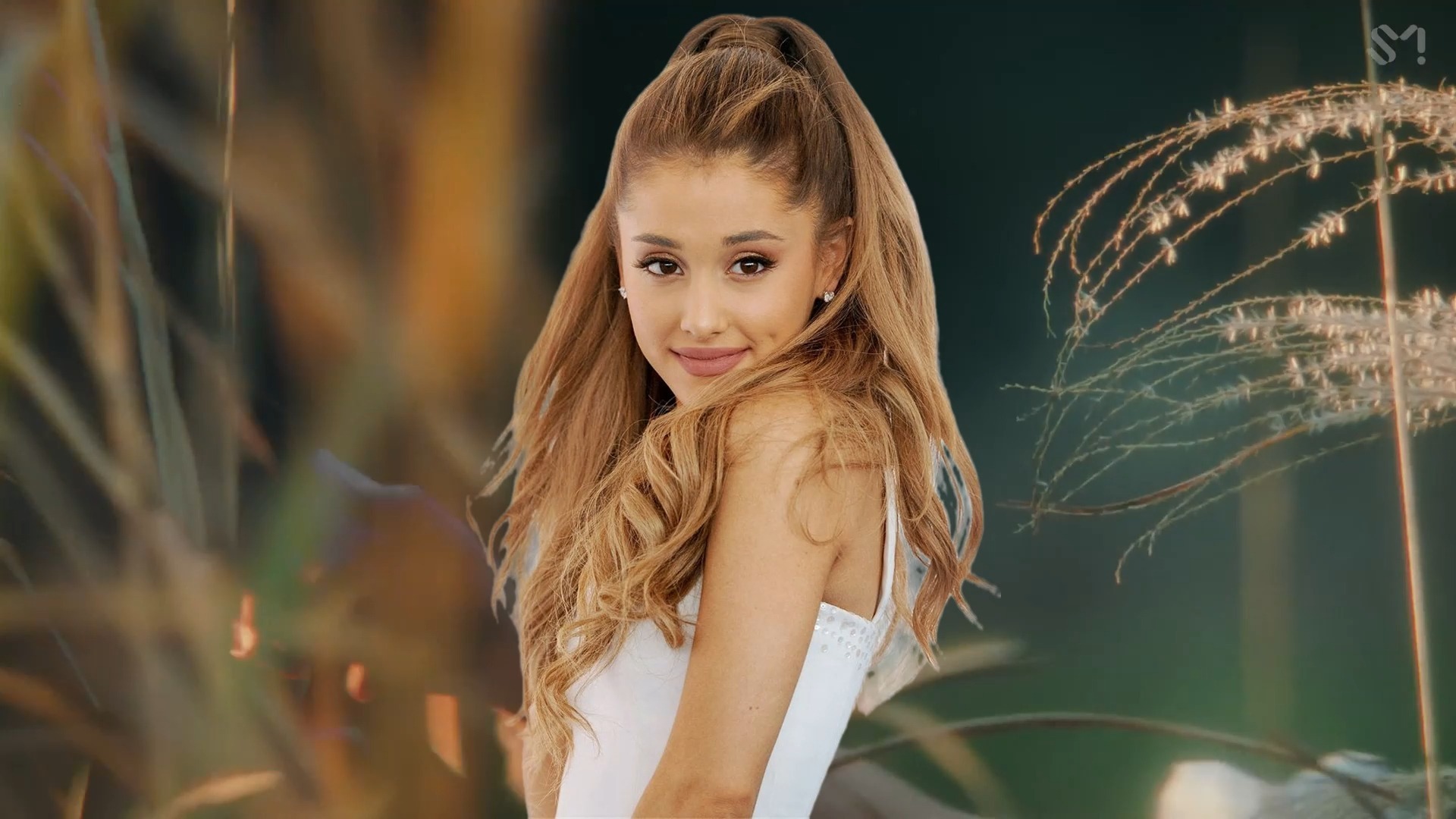 【Ariana Grande测验】你是真正的Arianator吗？A妹骨灰级粉丝知识等级大挑战！