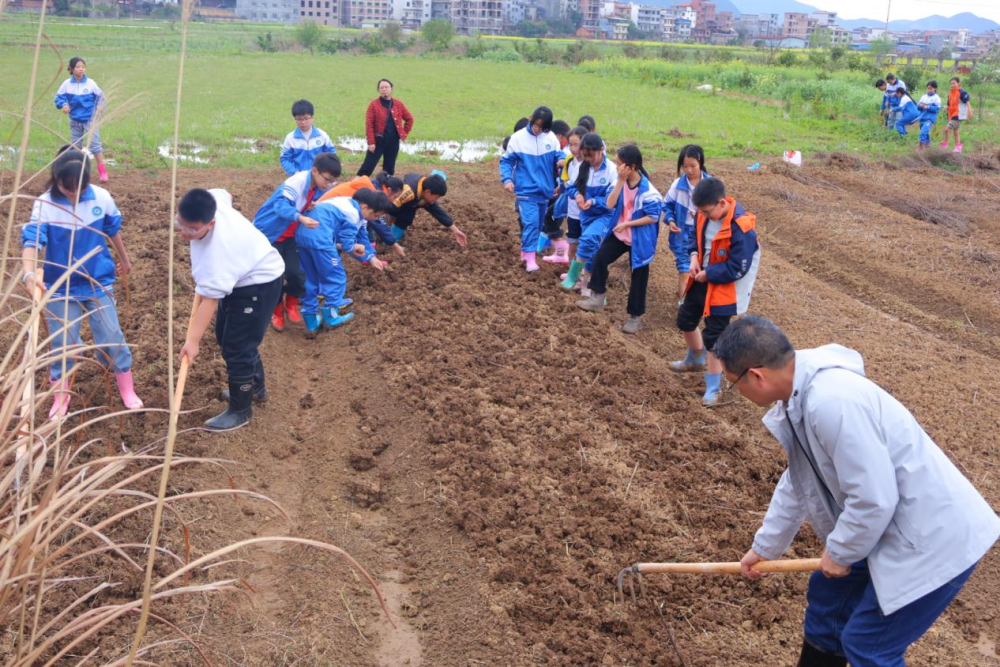 蓝山赤蓝桥小学:体验耕种乐趣,传承劳动精神