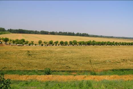 河南固始:古镇蓄势待发"显"生机