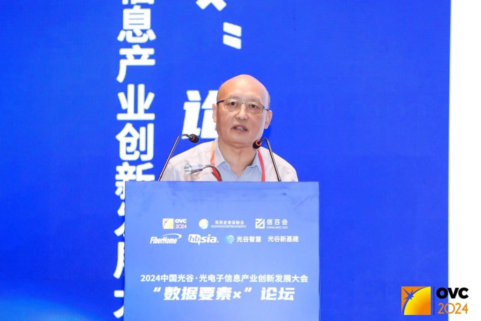 信百会学术委员,粤港澳大湾区大数据研究院名誉理事长杜平在《有效