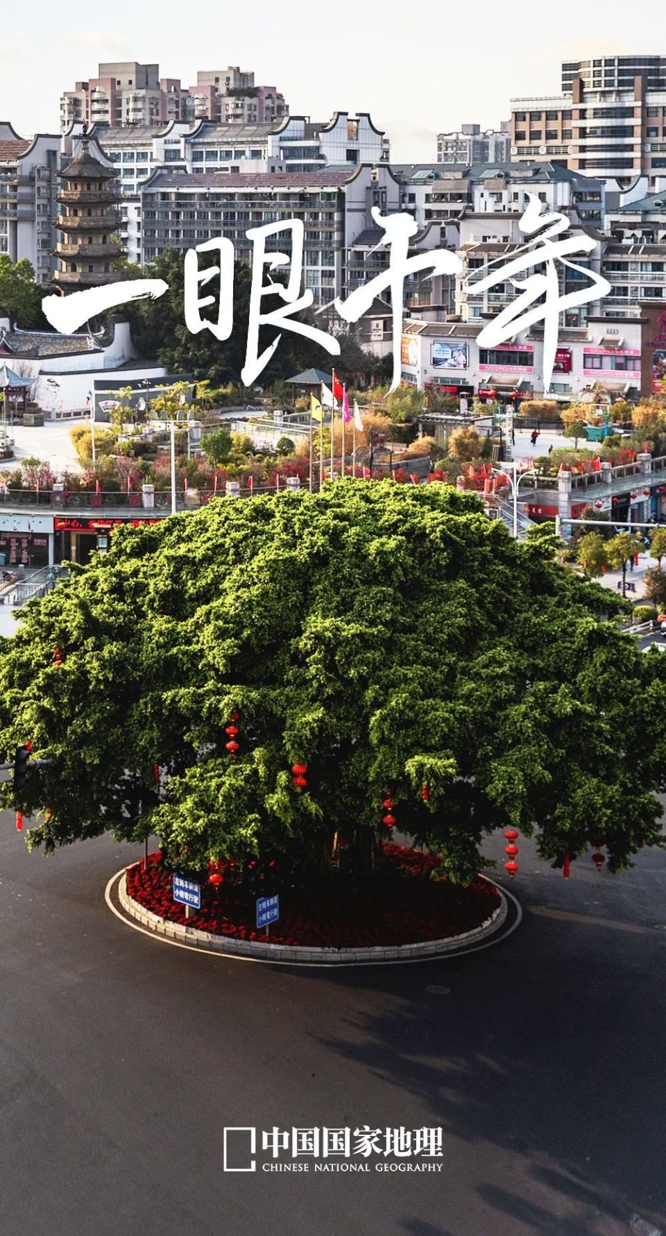 到这8个城市,赴一场千年之约_腾讯新闻