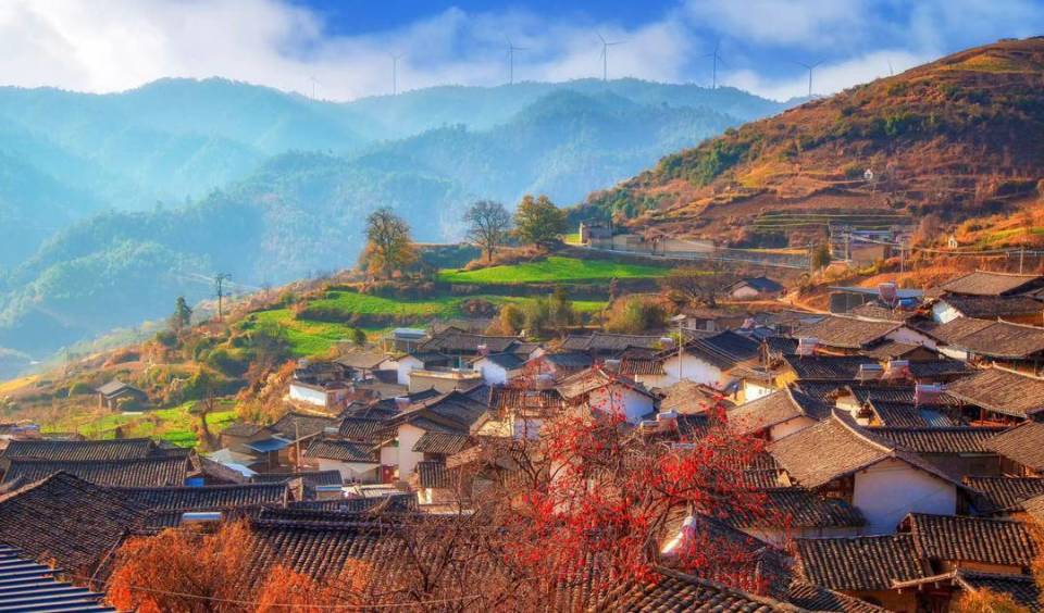 6月初,四川省攀枝花市盐边县红格镇联合村,百年古树苍绿,民居高低