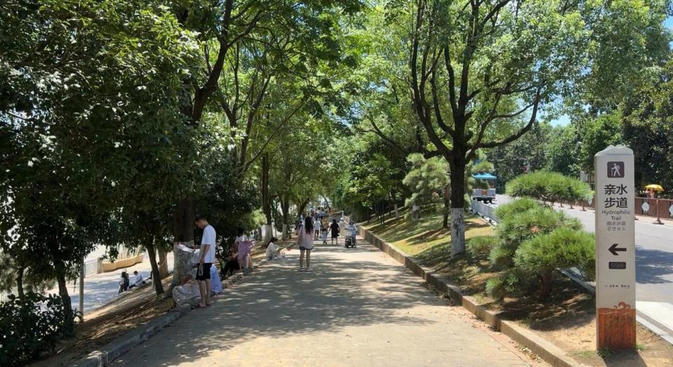 首个周末迎接近8万游客,长沙橘子洲景区恢复开园