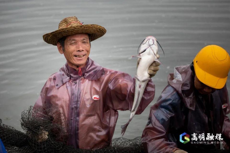 关注！高明推进全国渔业绿色循环发展试点建设_腾讯新闻