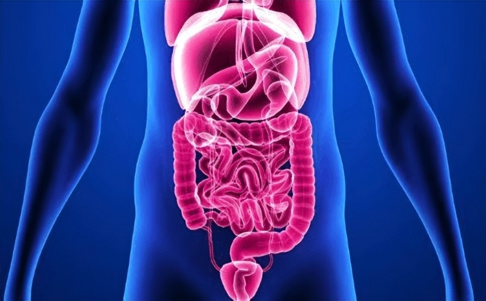 长期吃的太饱身体会怎样不只会胖