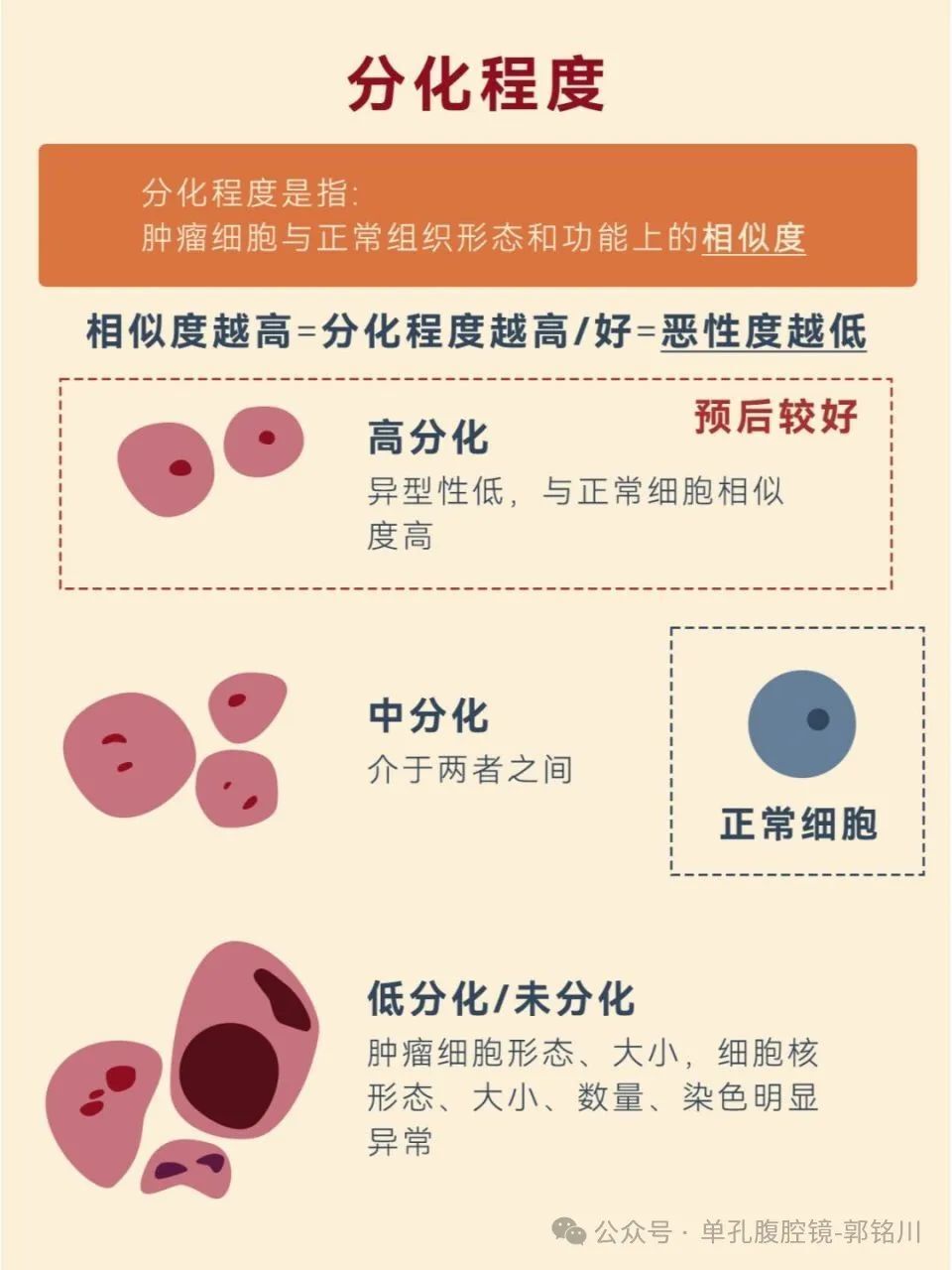 从癌细胞分化，看人类成长-腾讯新闻