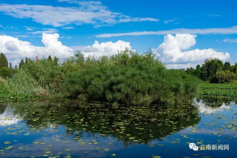 行摄云南宝丰湿地风景如画