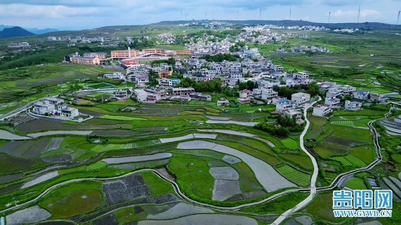 贵阳高坡梯田美如画!
