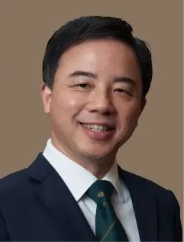 港大校长,三院院士,最新nature nanotechnology!