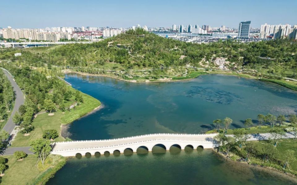 世博文化公园双子山项目即将开放!黄浦江畔48米高山已经有人打卡