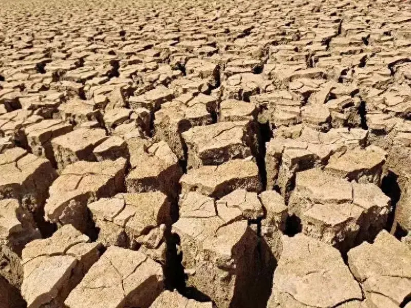 曲靖市陆良县水库水源枯竭淤泥皲裂无语凝噎云南省多地春耕逢严重干旱