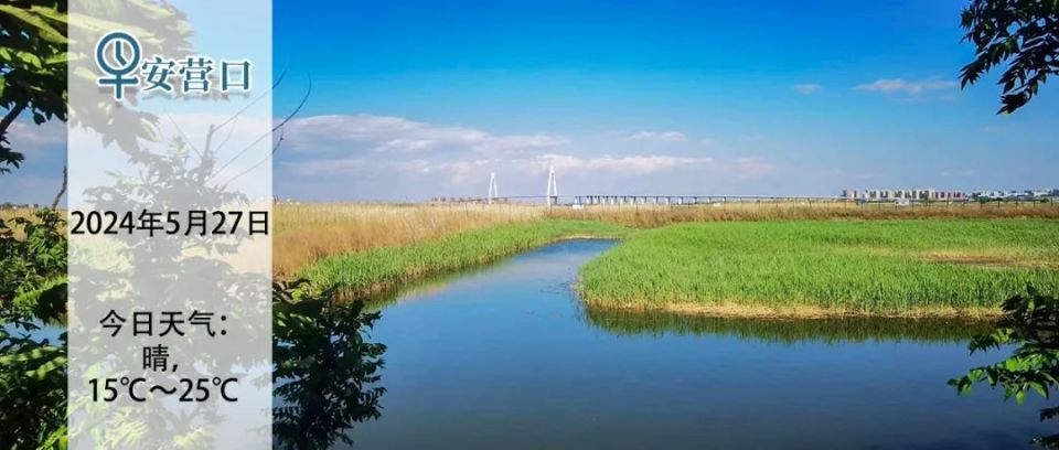姜太公/摄天气预报今天白天到夜间:晴,降水概率30%,西北风4到5级阵风7
