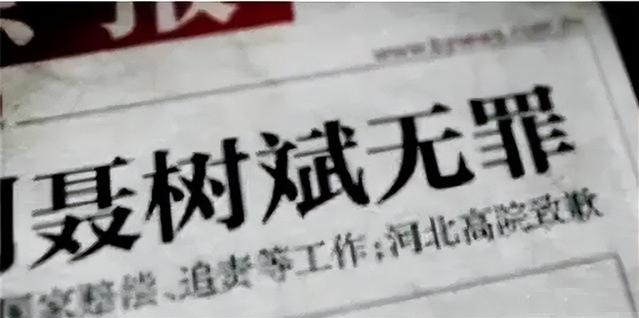 虐猫与爱狗,本质都是违反人性的行为_腾讯新闻