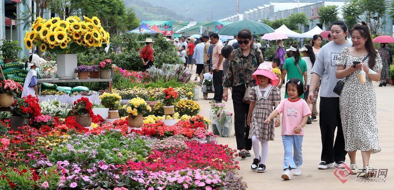 昆明宜良花街节:龙凤呈祥迎佳节   繁花锦绣庆端午