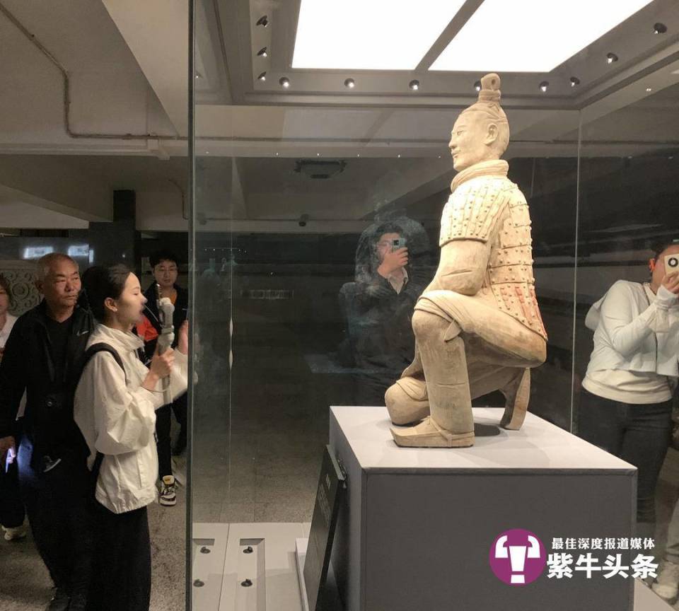 紫牛头条一个导游硬生生干成历史老师美女导游讲兵马俑吸粉近400万