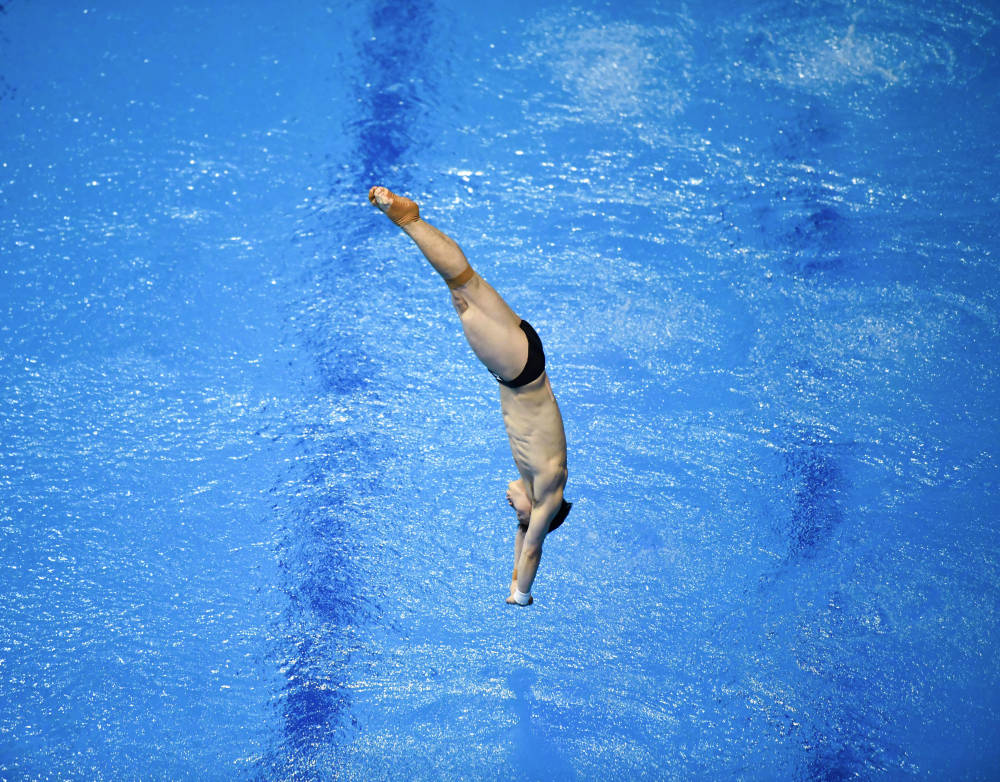 跳水——世界杯柏林站:王宗源男子3米板夺冠