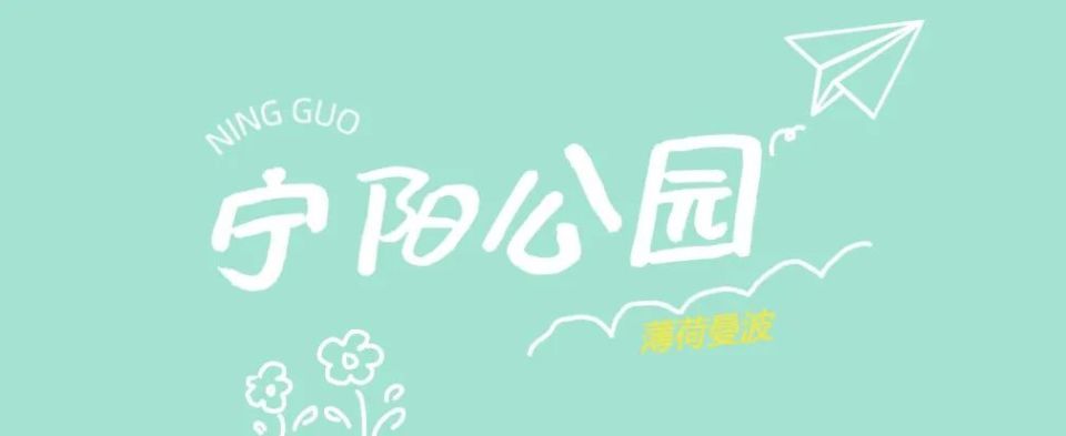 诗意画面,看绿叶轻摇,碧水潋滟,感受满满"薄荷曼波"元素~"水是眼波横