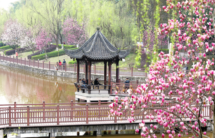 走到江津鼎山公园盘花去