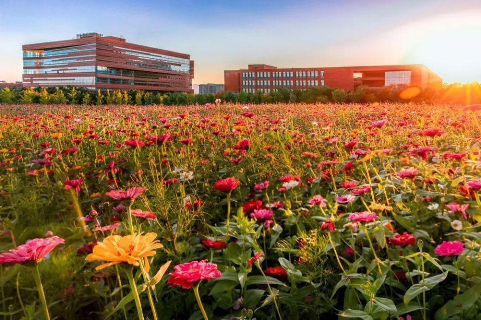 四季轮转,北化校园美得太像画!