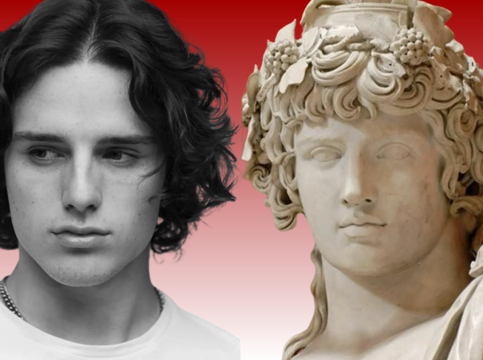 下面我们有必要了解一下,这位在西方学术界作为美男子代名词的安提诺