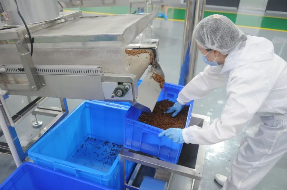 山东淄川:宠物食品生产忙_腾讯新闻