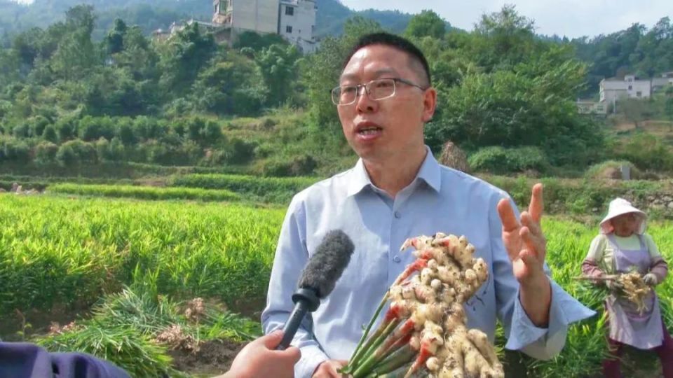 [南方生姜网-图片加载]