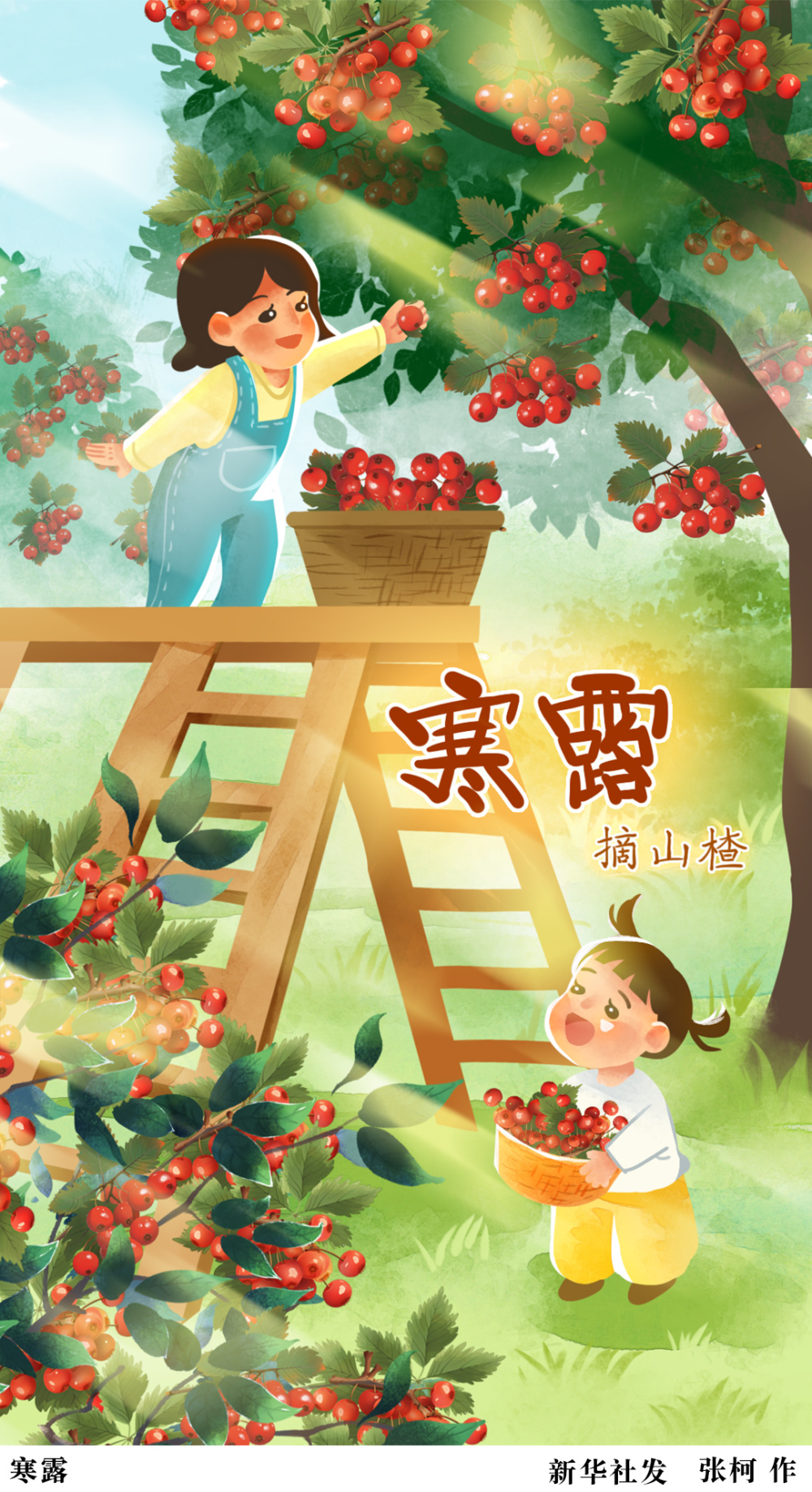寒露(2)