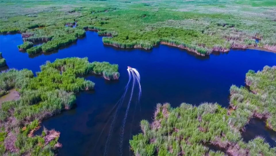 文化中国行 | "五一"假期,新源县累计接待游客53.