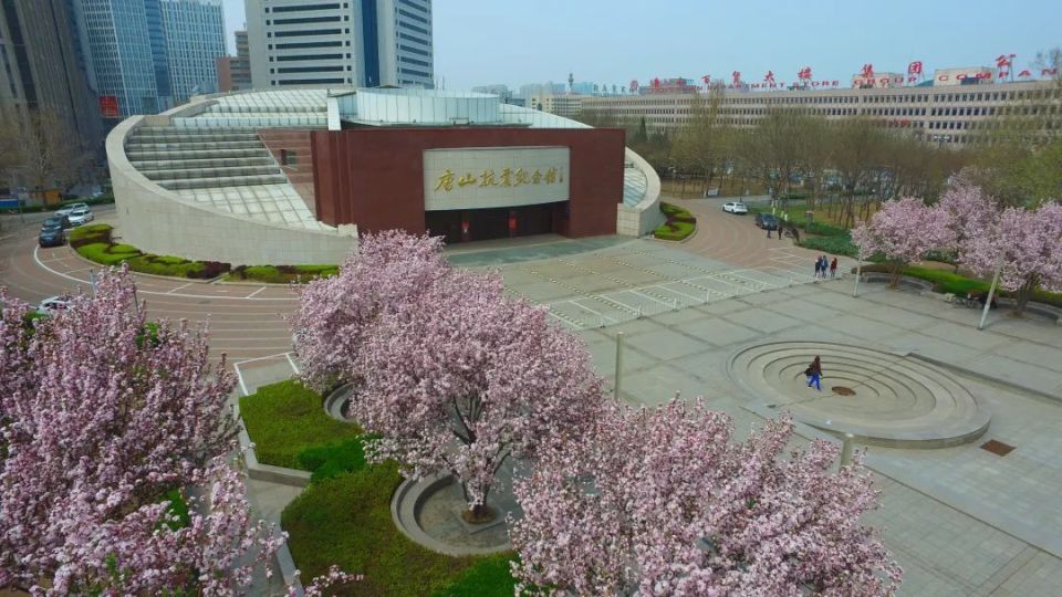 唐山文化艺术中心图片