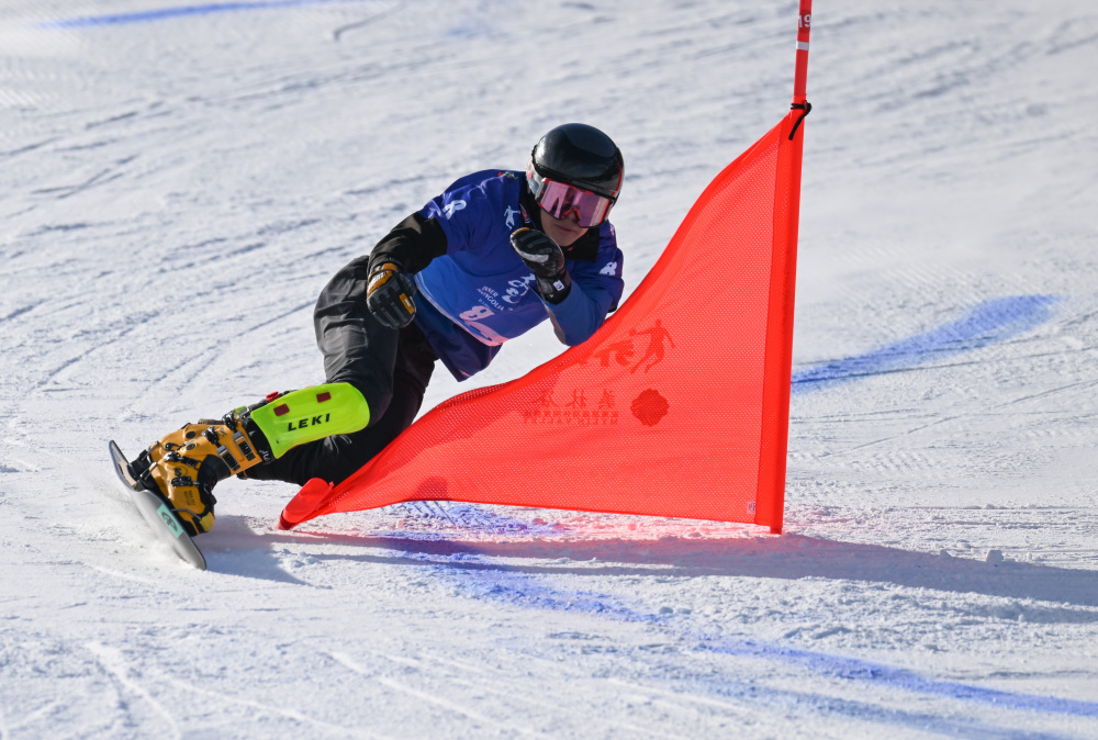 单板滑雪——青年组男子平行大回转赛况