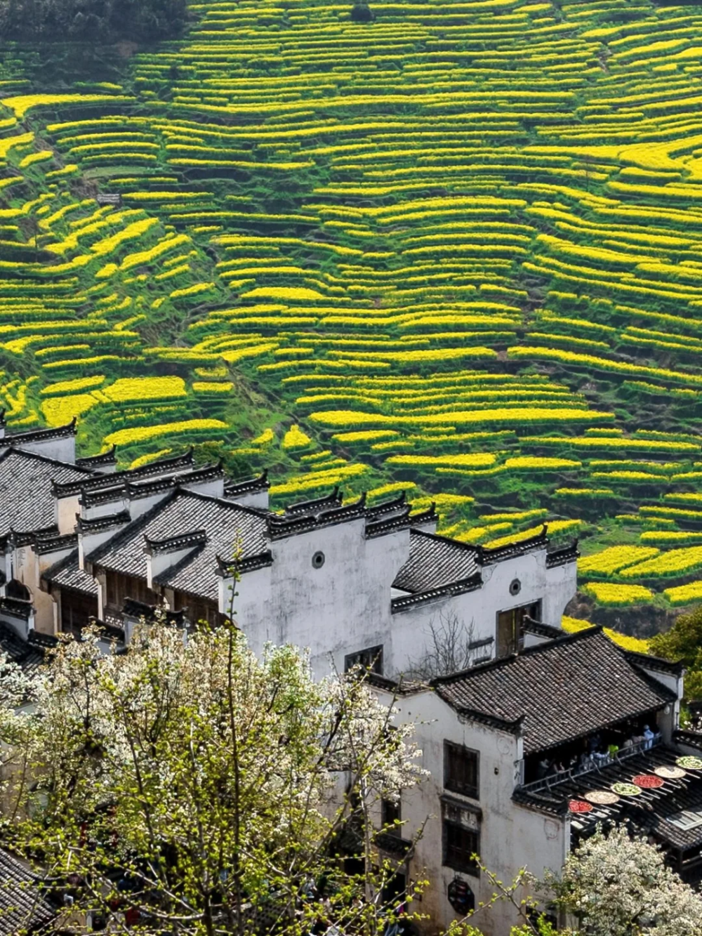 三月的中国c位在江西这座小小县城