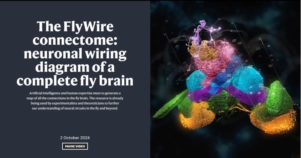 生物刺激输出线怎么连Cybercab来了，特斯拉股价为何却跌了？_https://www.jmylbn.com_新闻资讯_第3张