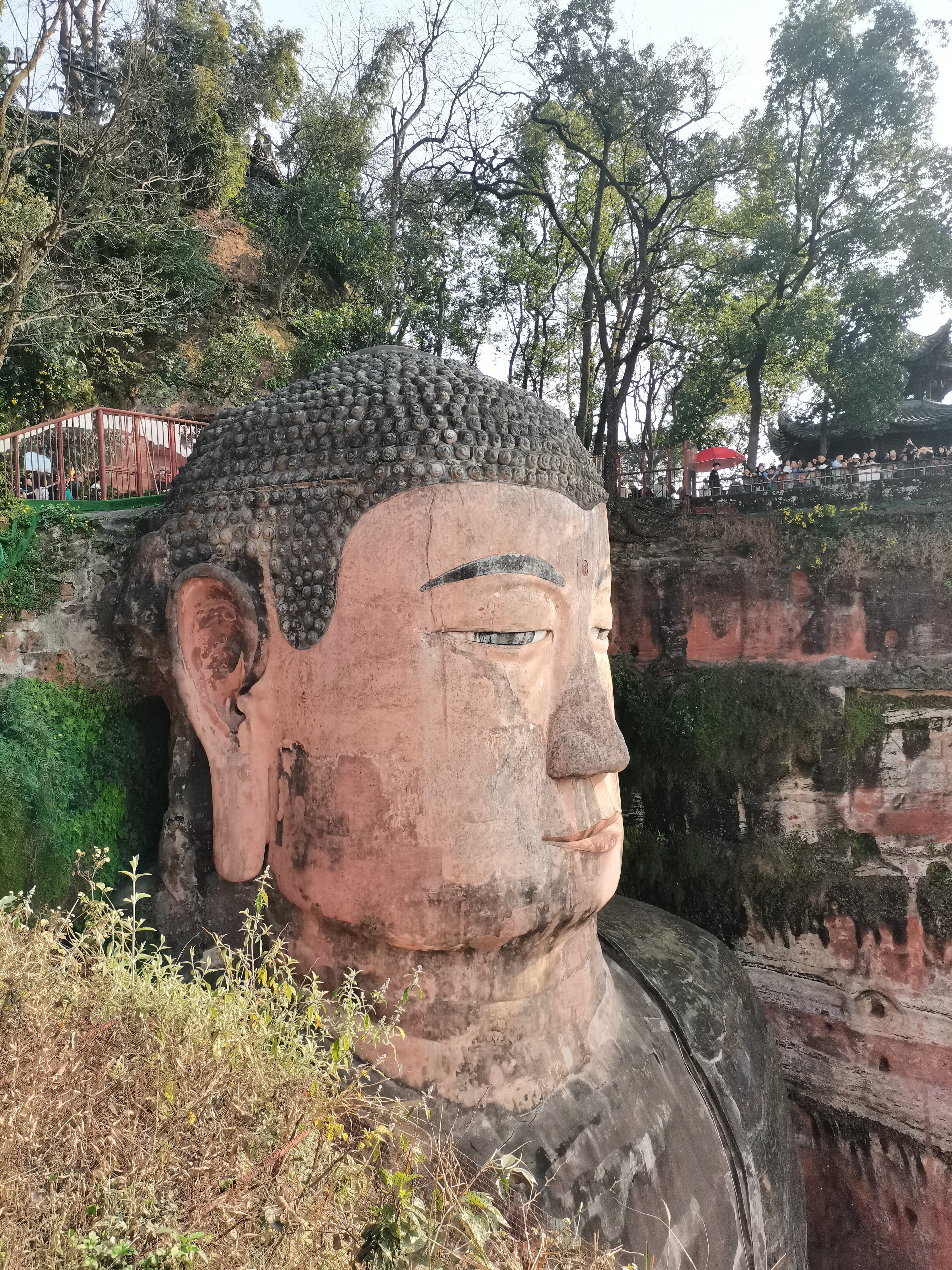 乐山大佛-佛头