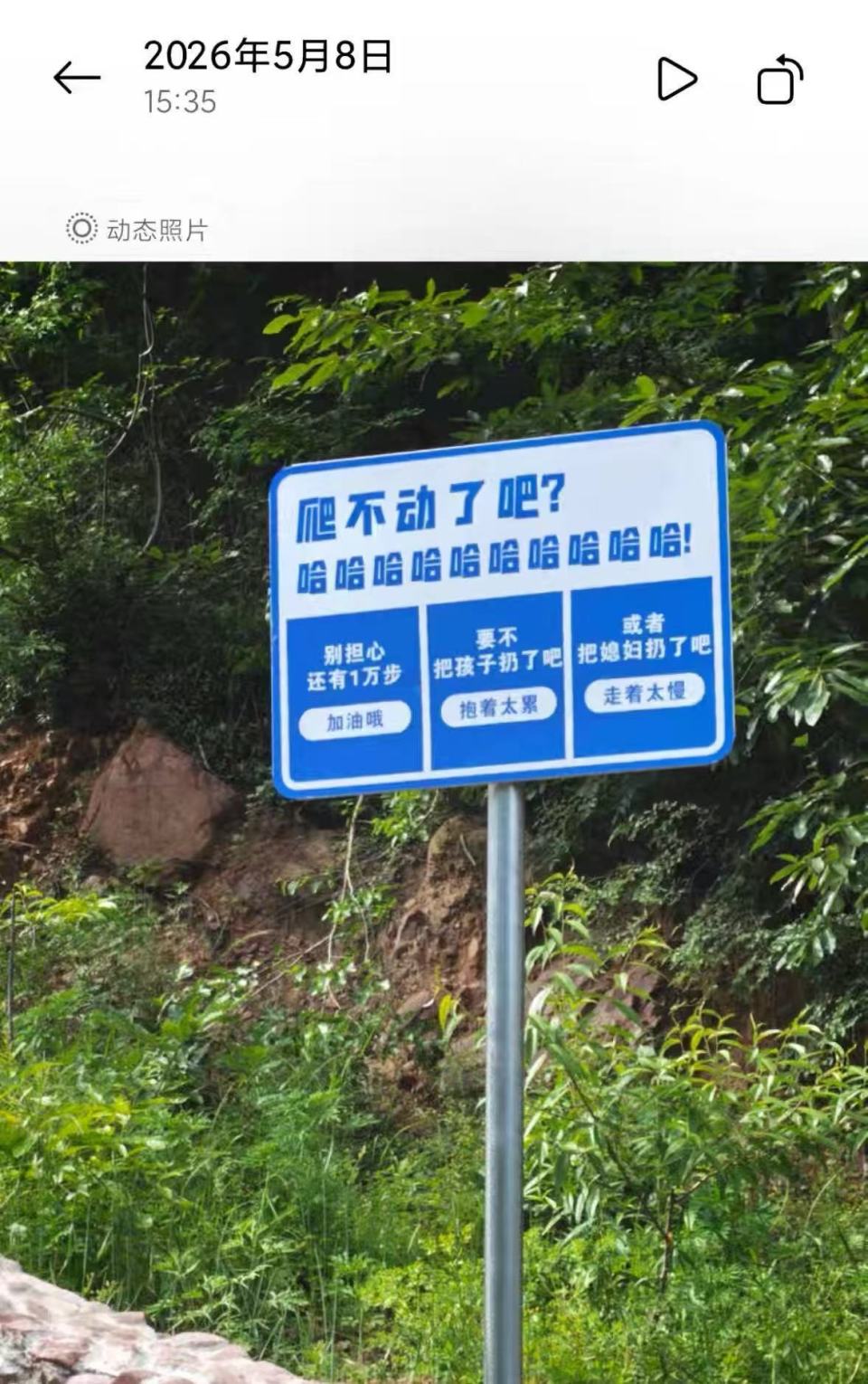 崔女士游览时看到该标语牌（受访者供图）