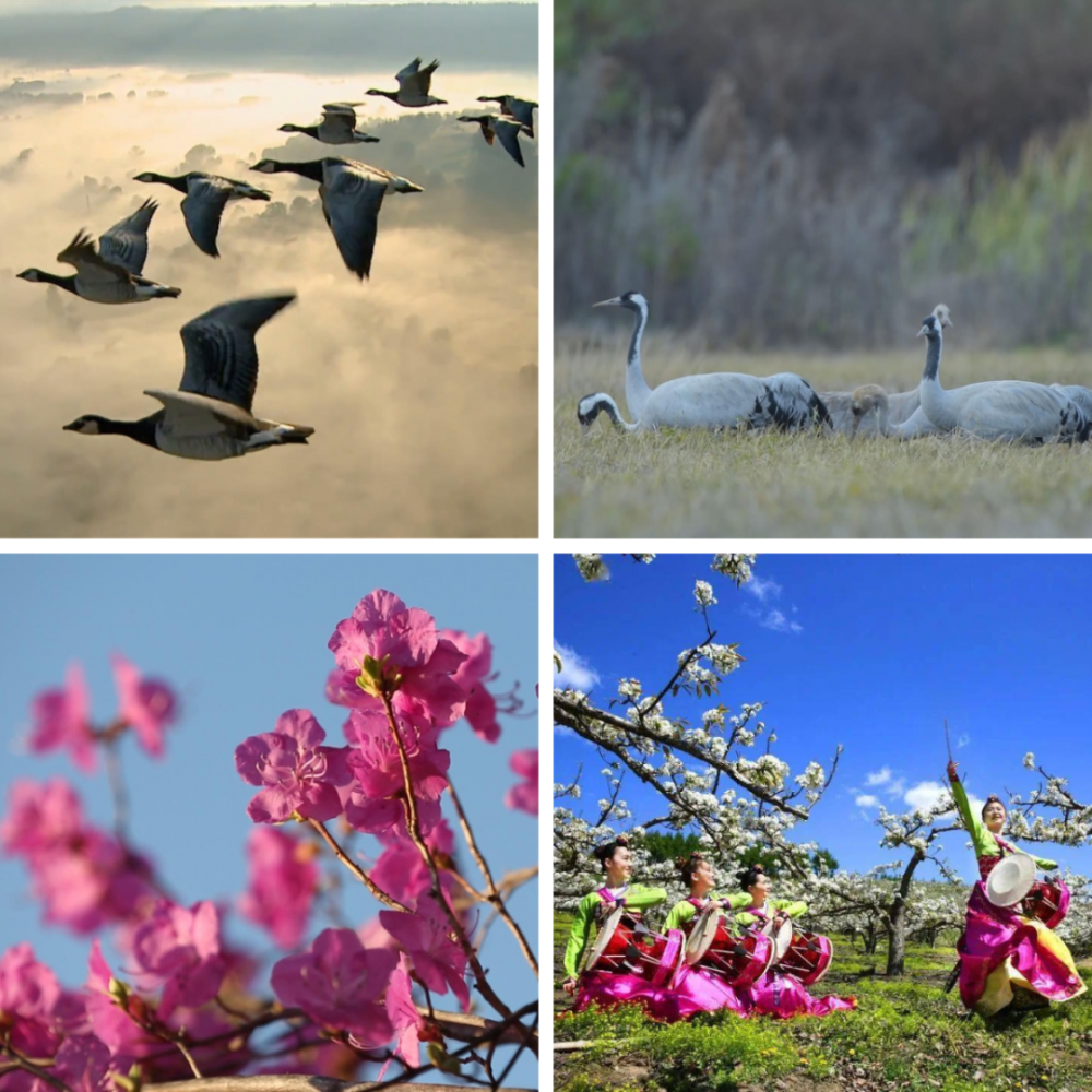 延边上榜"年度美好 · 焕新城市"带您领略四季如歌的延边