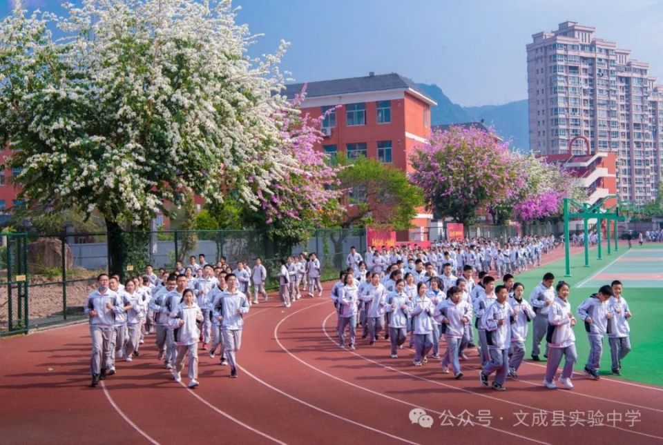 文成实验中学校长图片