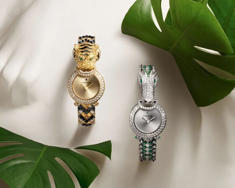 又被腕表圈壕到了