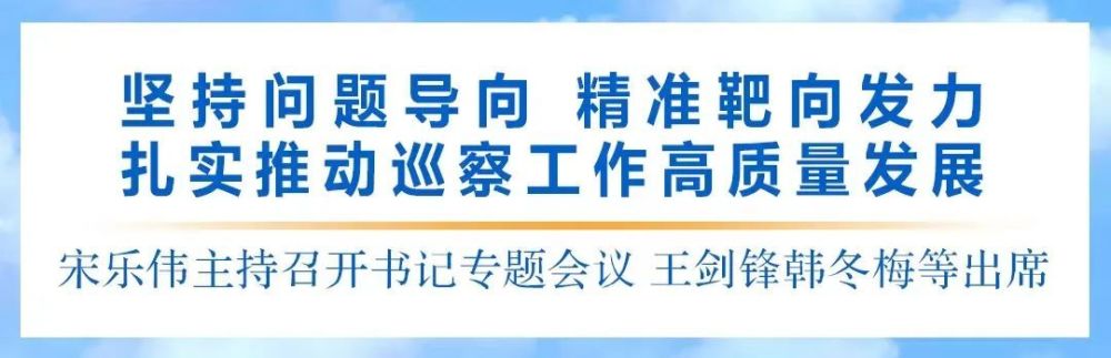 书记专题会议坚持问题导向精准靶向发力扎实推动巡察工作高质量发展