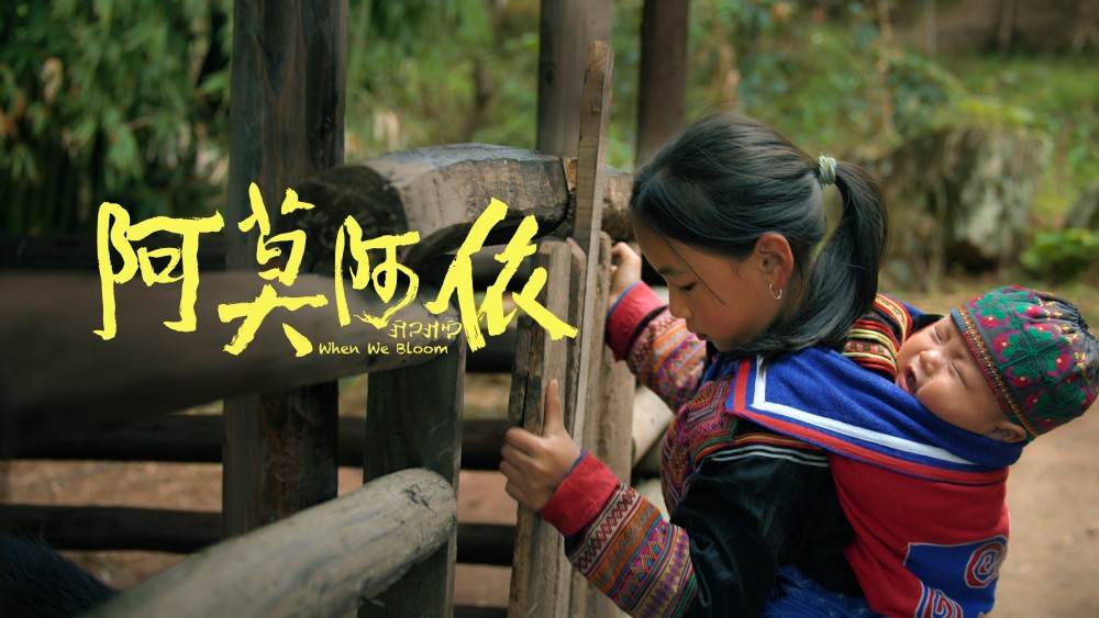 电影阿莫阿依终极物料双发阿依姐弟求学人生大曝光
