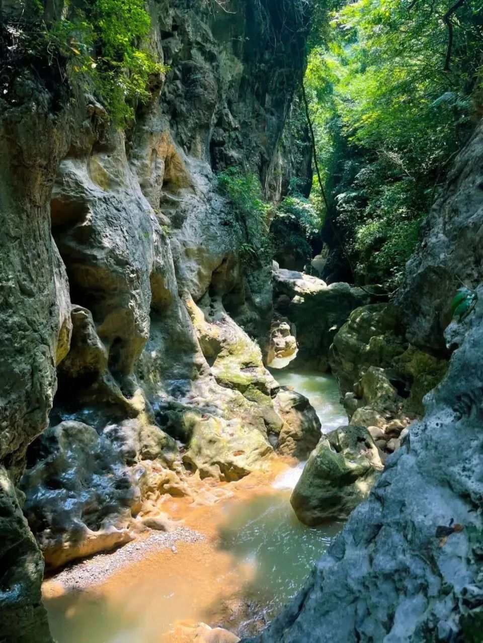 "夏"一站贵州!收藏这份超强攻略,让你纵享万千舒爽