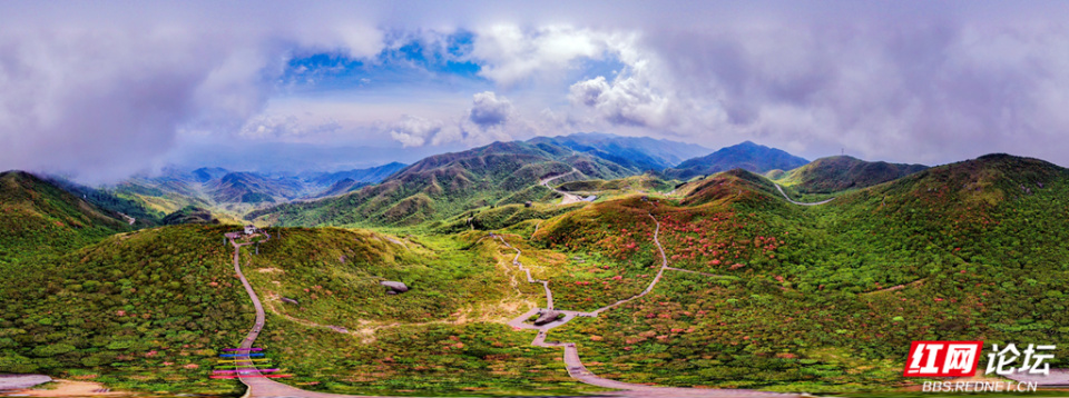 摄影:曾石祥▲图说:每年四月下旬至五月中旬,浏阳大围山满山杜鹃如