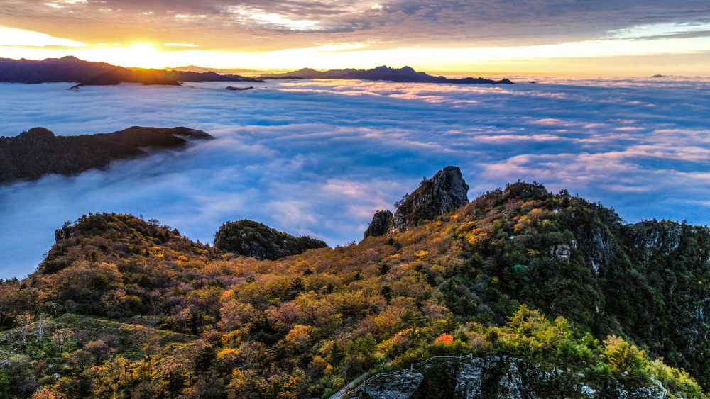 陕西秦岭牛背梁现云海奇观_腾讯新闻